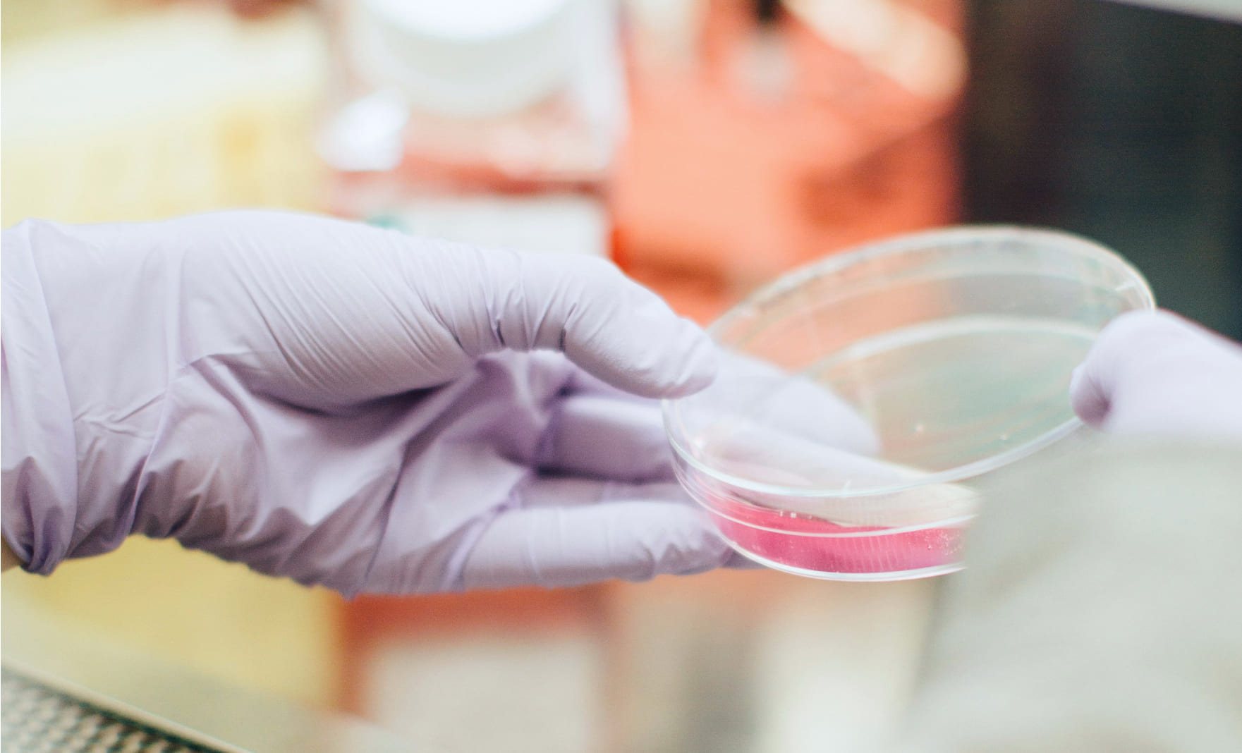 品質管理および衛生管理のサポート